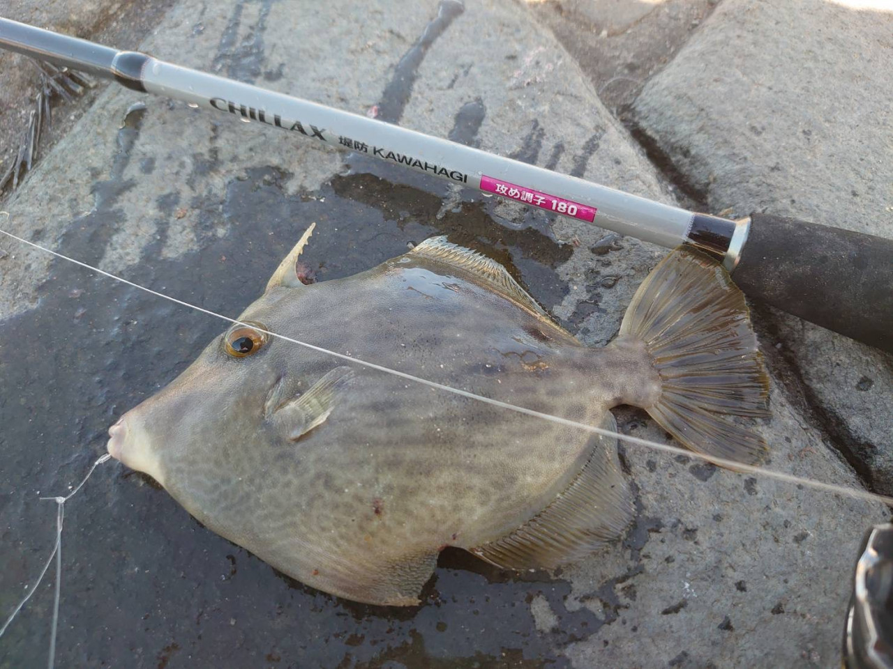 CHILLAX 堤防KAWAHAGI 画像4