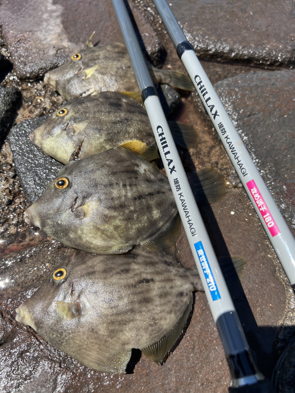 CHILLAX 堤防KAWAHAGI 画像1