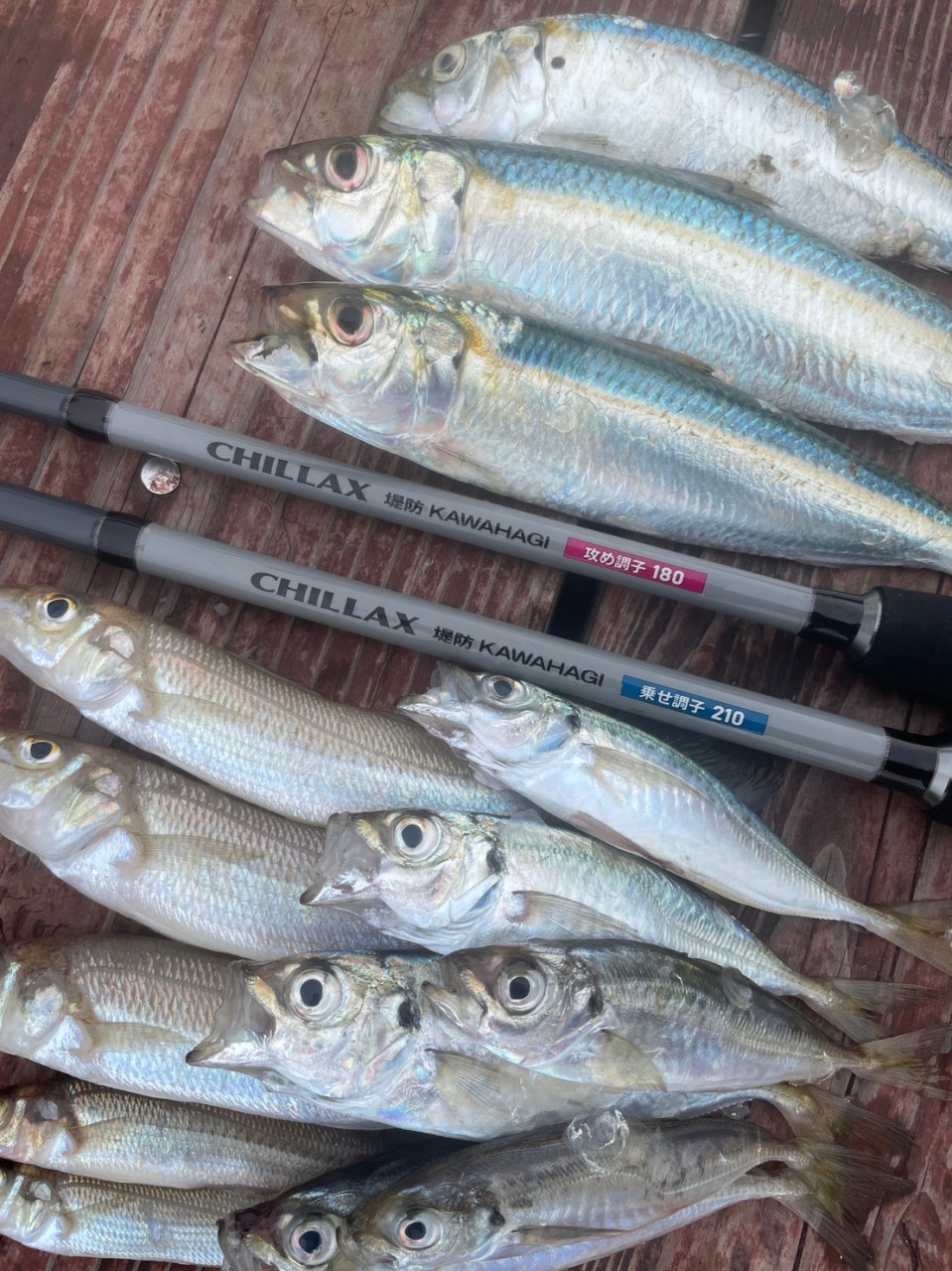 CHILLAX 堤防KAWAHAGI 画像11