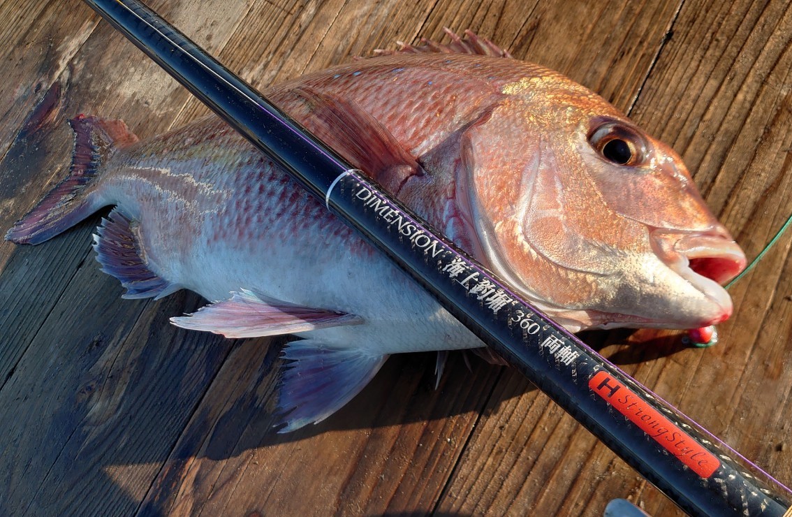 海上釣堀のシーン2